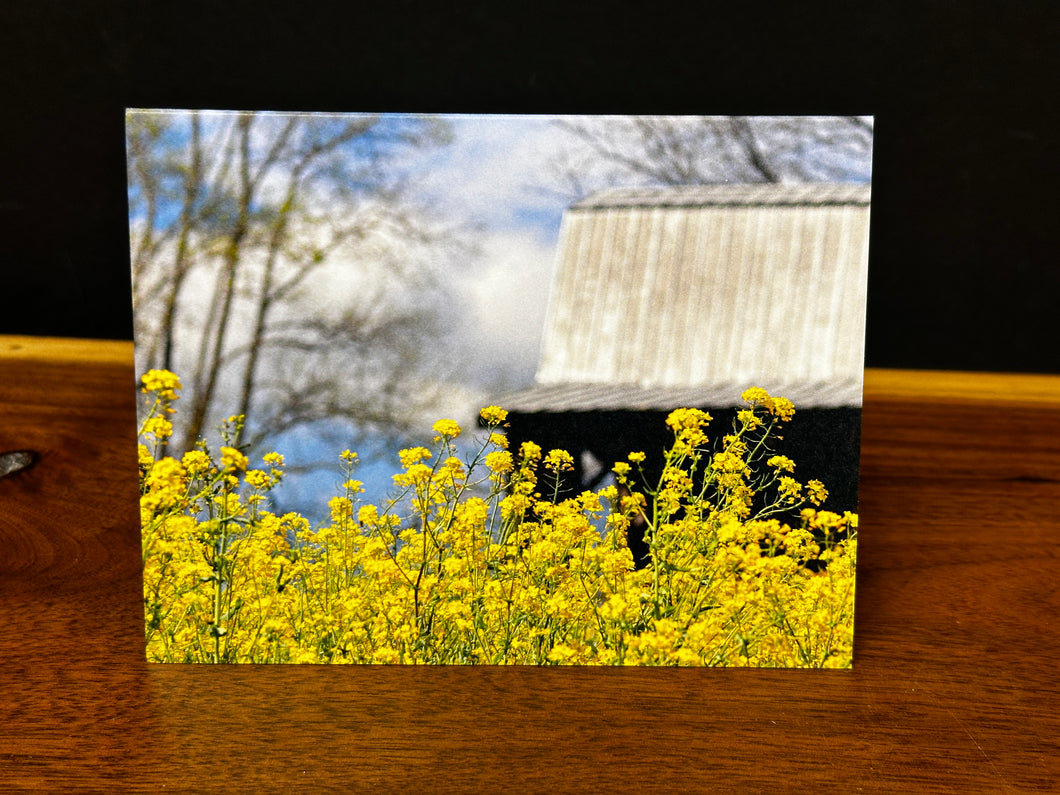Greeting Card/Note Card by AMcKinley Photography - Barn
